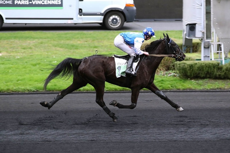 You are currently viewing Une sixième victoire parisienne pour Karna des Baults