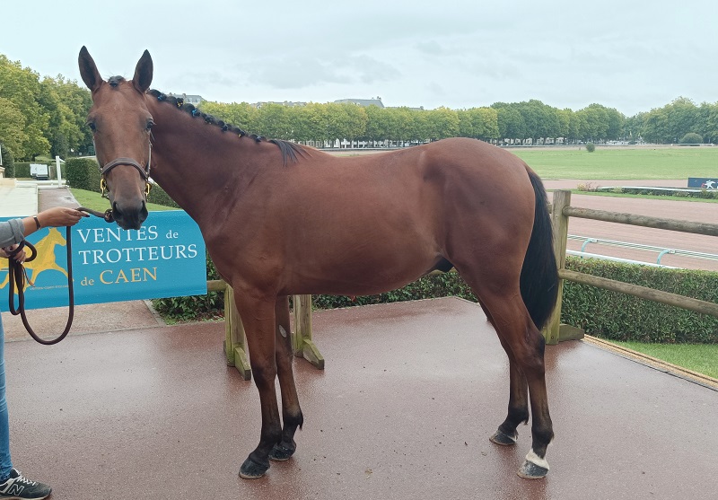 You are currently viewing Offshore de Busset fait afficher 20 000 €