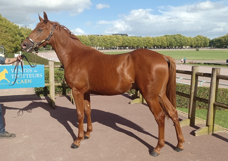 You are currently viewing Oméga du Zoute, la plus belle enchère à 32 000 € d&rsquo;une troisième journée animée