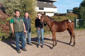 Lire la suite à propos de l’article Picasso Fromentro, top price à 22 000 € de la journée de clôture