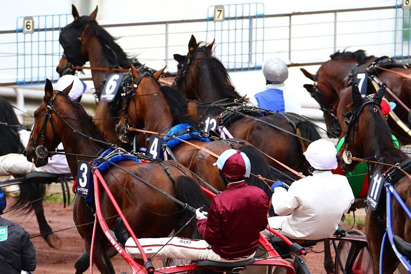 You are currently viewing Le bilan du week-end : 6 gagnants