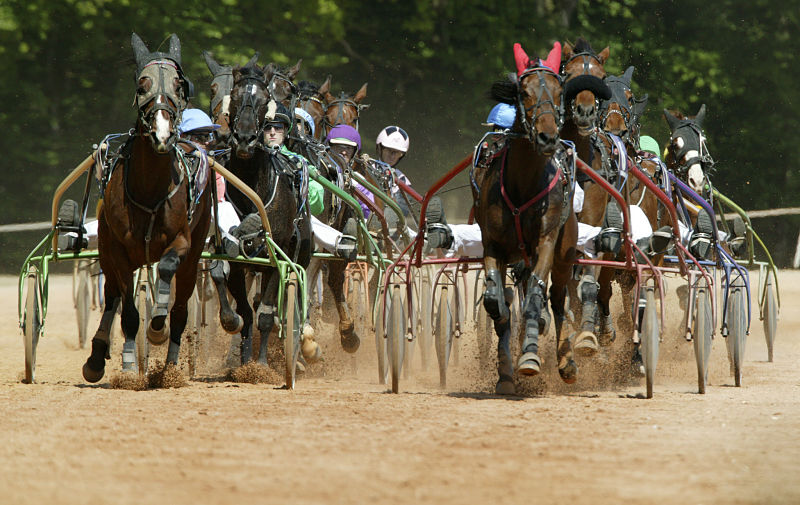 You are currently viewing 7 nouveaux gagnants