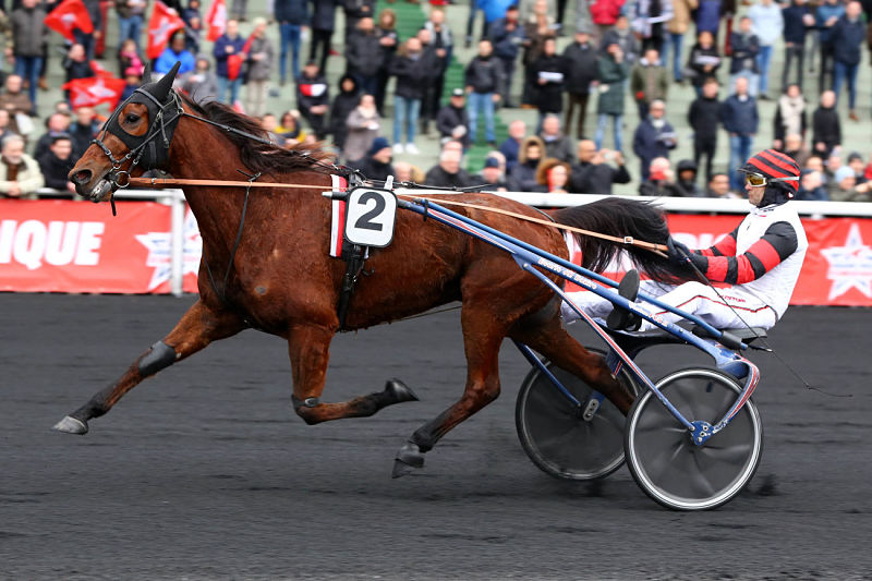 You are currently viewing 5 partants au niveau Groupe samedi