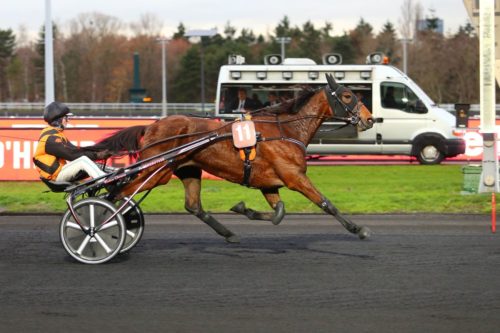 Éclipse Danica, nouvel éclat et chantre de l&rsquo;inbreeding