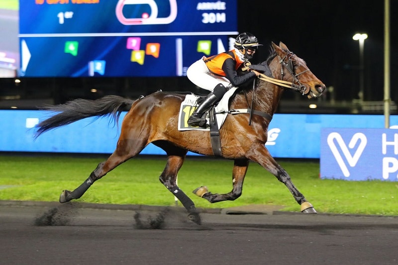 You are currently viewing Une 14ème réussite pour Gipsy Venesi !