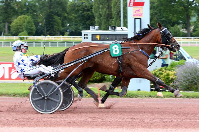 Vous consultez Le « Washington » pour GO ON BOY