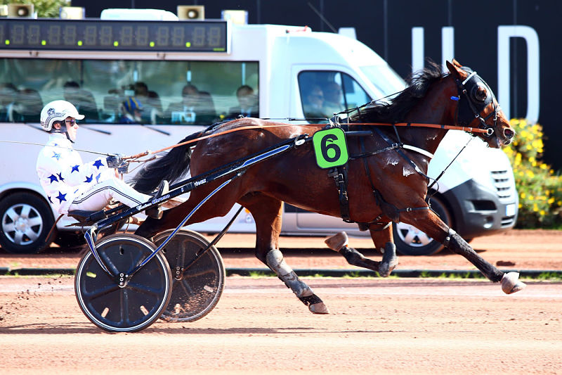 Vous consultez Go On Boy, roi de Cagnes