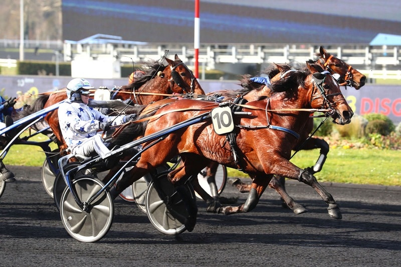 Vous consultez Go on Boy sur la plus haute marche du podium
