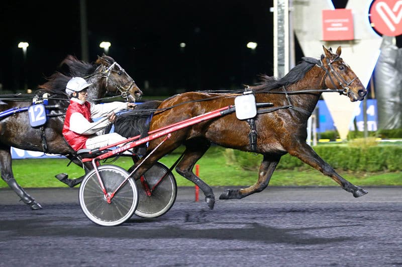 Vous consultez Gréco d&rsquo;Occagnes triple la mise à Vincennes