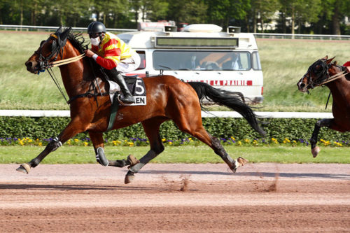 Guide Moi Forgan : un joyau sur une voie toute tracée