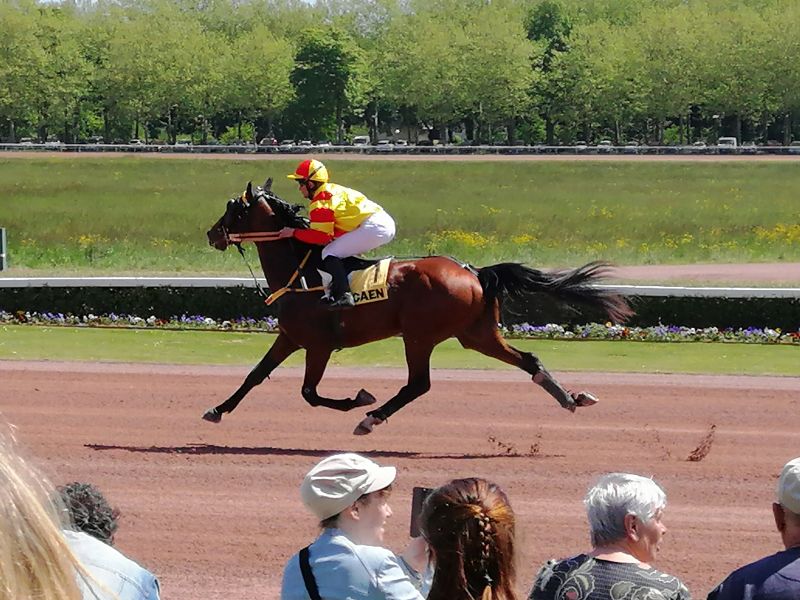 Vous consultez Suivez le « GUIDE »