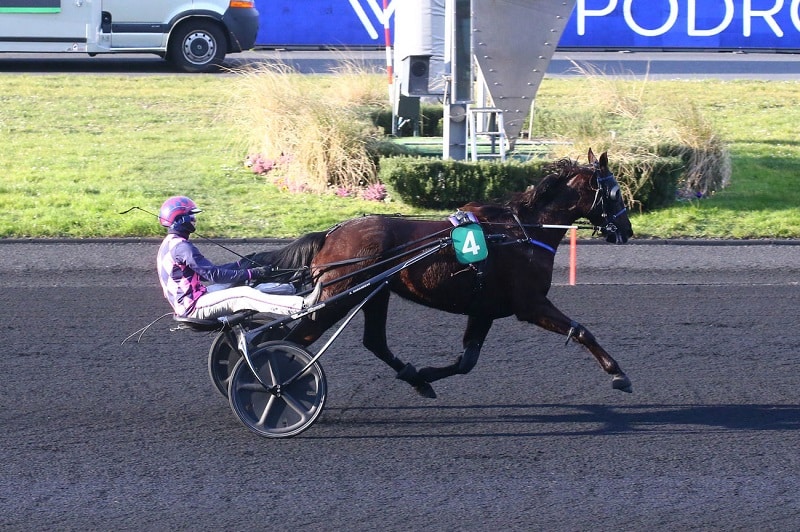 Vous consultez Et de 10 pour Happy Danica !