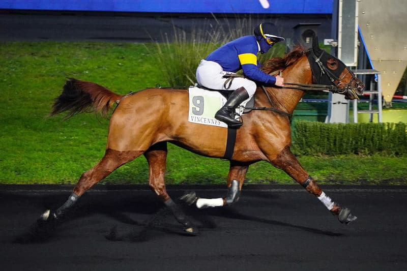 You are currently viewing Hushabye s&rsquo;affirme sous la selle