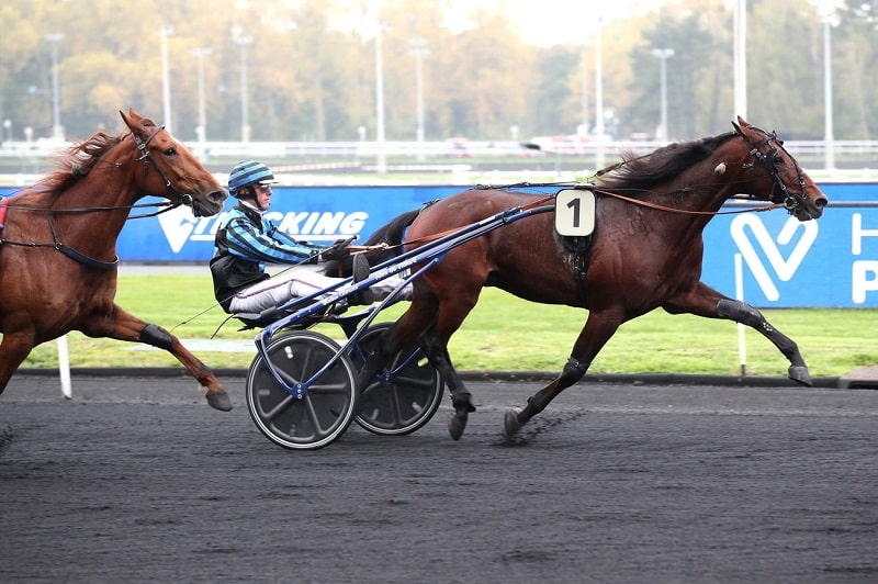 Vous consultez Idao de Tillard en champion – Guide Moi Forgan avec brio