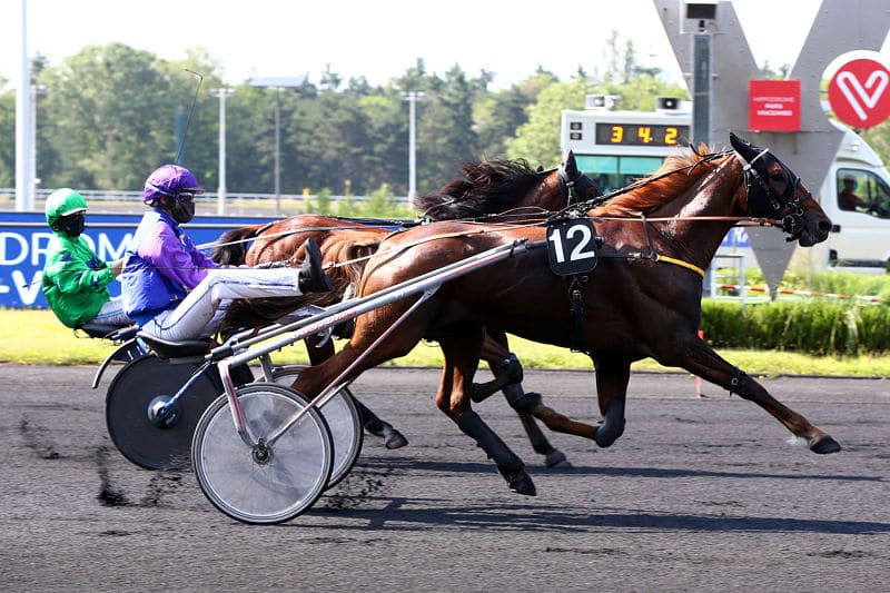 Vous consultez Première réussie à Vincennes pour Iathus Danica