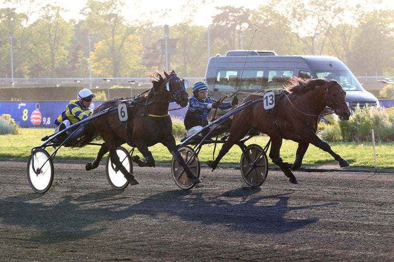 Vous consultez Rentrée victorieuse du champion Idao de Tillard