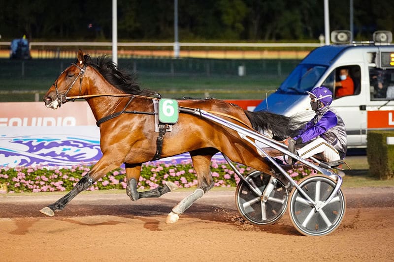 You are currently viewing Belle entrée en matière d&rsquo;Inoui Danica