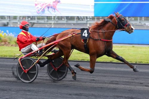 INVICTUS MADIBA (2018)