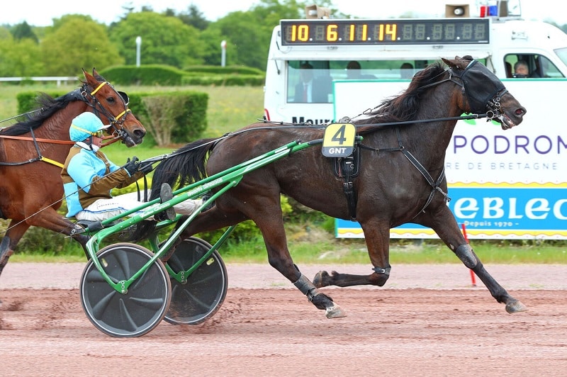 You are currently viewing Je Rêve du Bois et Kentucky Idéal brillent à Vincennes