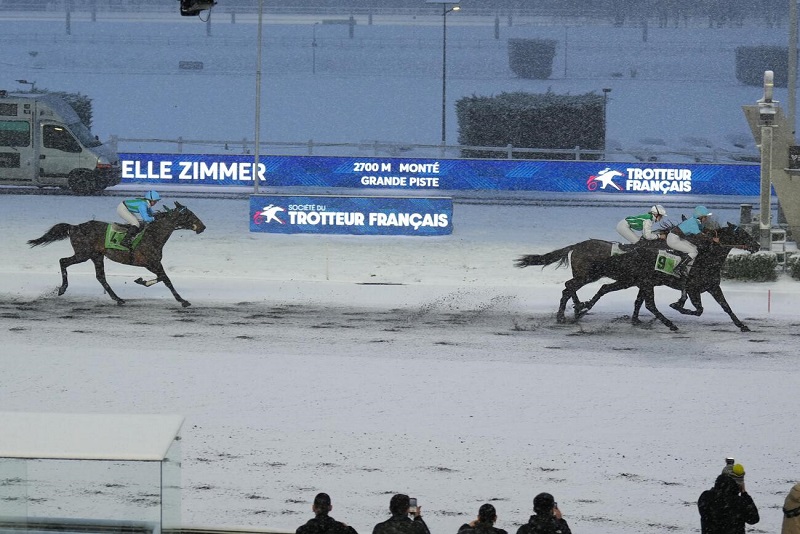 You are currently viewing Je Rêve du Bois et Mariéva de Lou, nos gagnants du jour à Vincennes