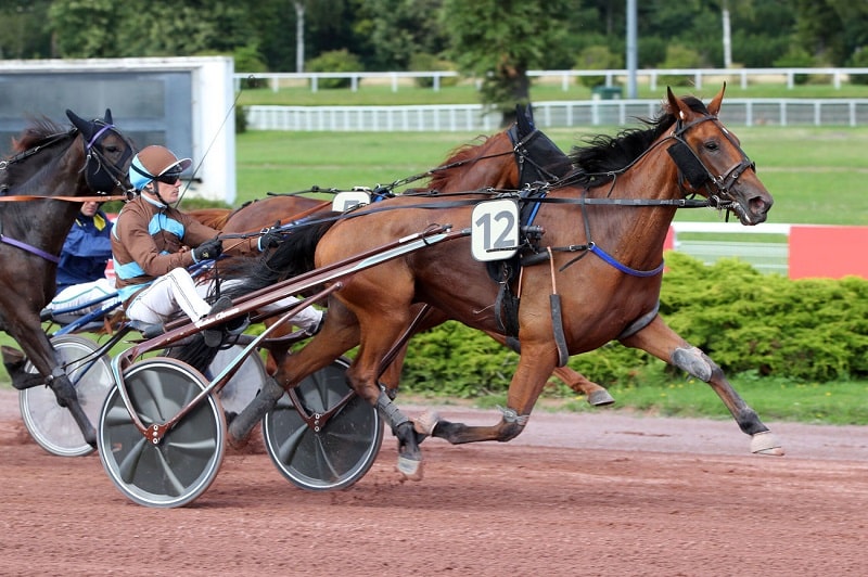 Vous consultez Kadence d&rsquo;Enfer – Farceur de Mai : joli doublé Premium à Enghien