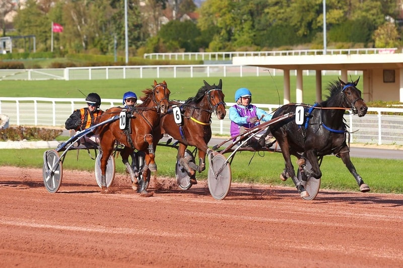 Vous consultez Kalie Glycines – Kalika du Ris : un joli couplé gagnant à Enghien