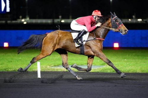 Kapaula de l’Épine, demoiselle impétueuse mais douée