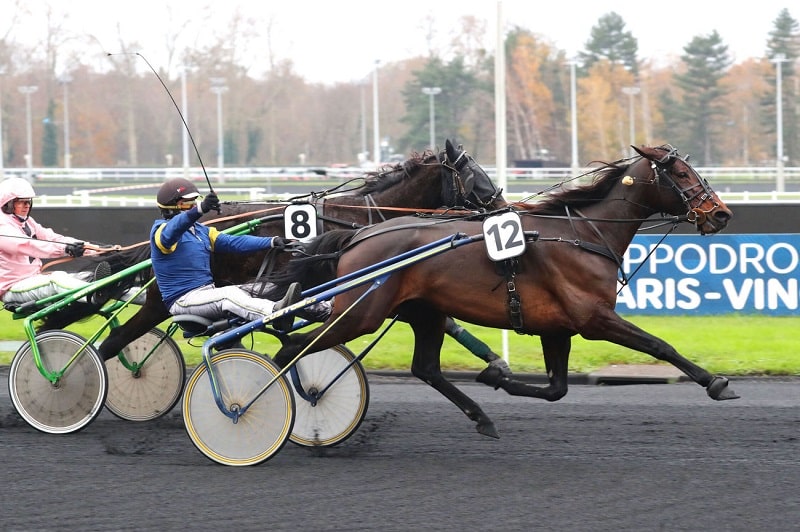 You are currently viewing KOOL DES CHAMPS (2020)