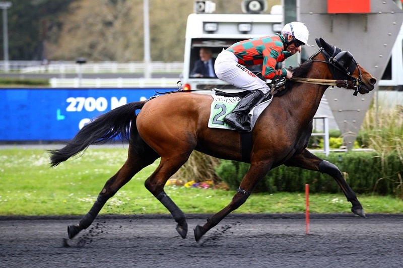 You are currently viewing KYRIELLE DES VAUX (2020)