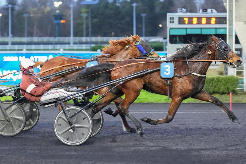 You are currently viewing Première parisienne pour Légende Indigo