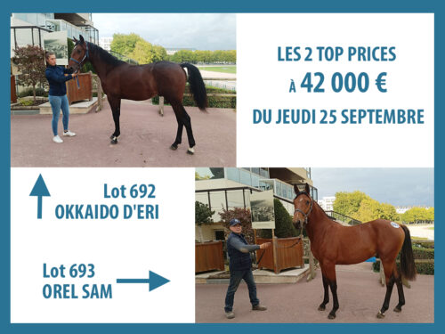 Okkaïdo d&rsquo;Éri et Orel Sam top prices à 42 000 € d&rsquo;une nouvelle journée très active