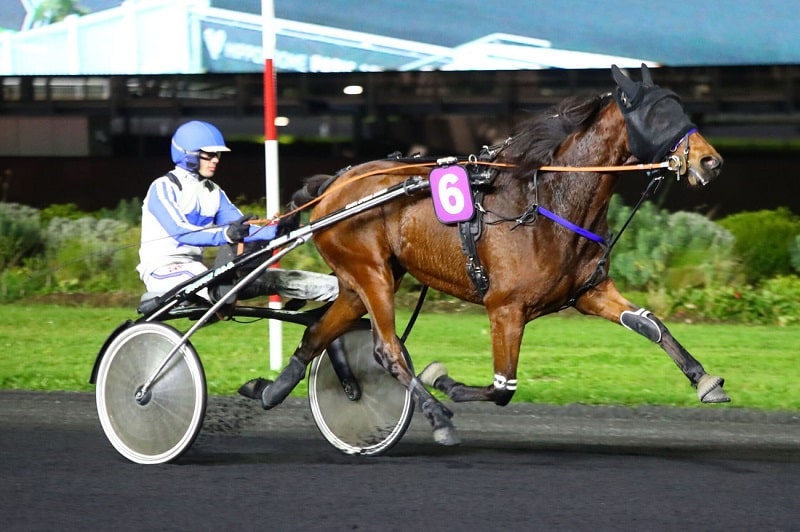 You are currently viewing LILAS CASTELLE (2021)