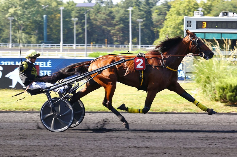 You are currently viewing LIVE TO TELL (2021)