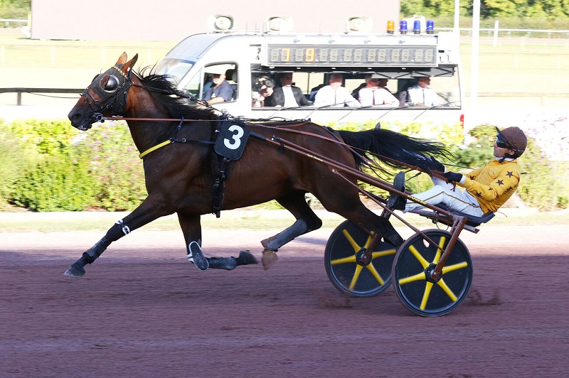 You are currently viewing Loubiana du Bourg puissance 3