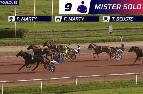 Mister Solo confirme ses belles dispositions