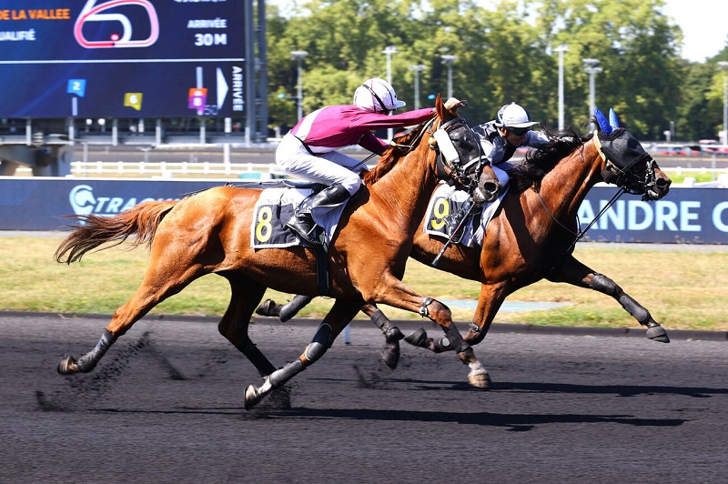 You are currently viewing Maintenantoujamais – Leader de Sèvre : une double réussite parisienne ce lundi