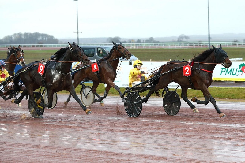 You are currently viewing Maradona Ellis – Mardouk de Godrel : le joli couplé gagnant