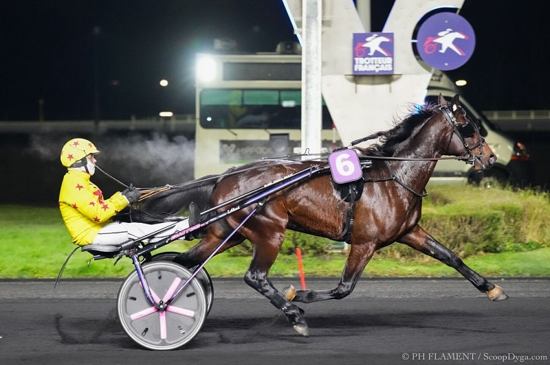 You are currently viewing Mardouk de Godrel – Légende des Ecus – Hunique : un joli trio de vainqueurs