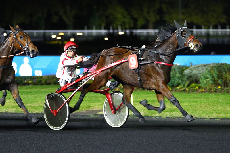 You are currently viewing Un succès amplement mérité pour Marquise de Magny