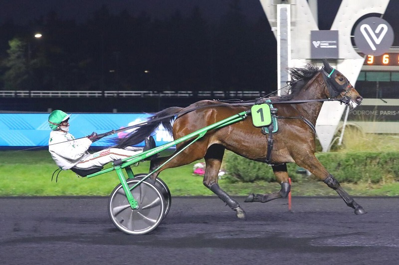 You are currently viewing Milan du Bosquet confirme ses belles dispositions