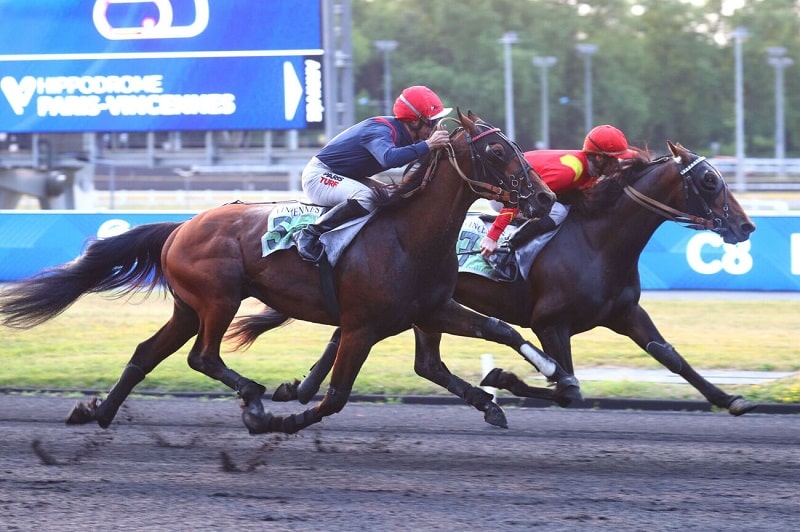 You are currently viewing MILOR DE LA VALLÉE (2022)