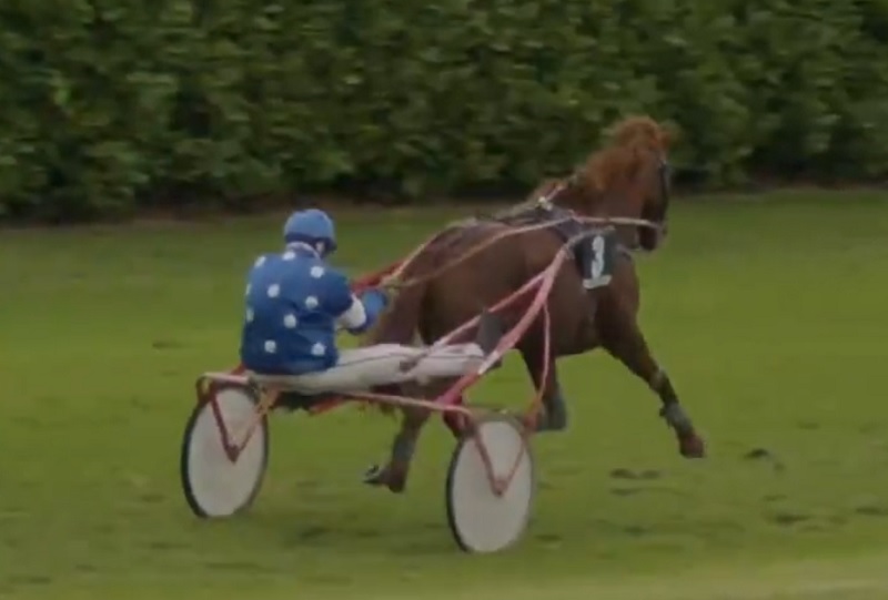 You are currently viewing Quatre nouvelles réussites dont celle du  jeune Montsecret