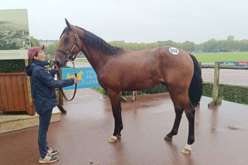 Nobel de Nganda top price à 90 000 € d&rsquo;une journée record