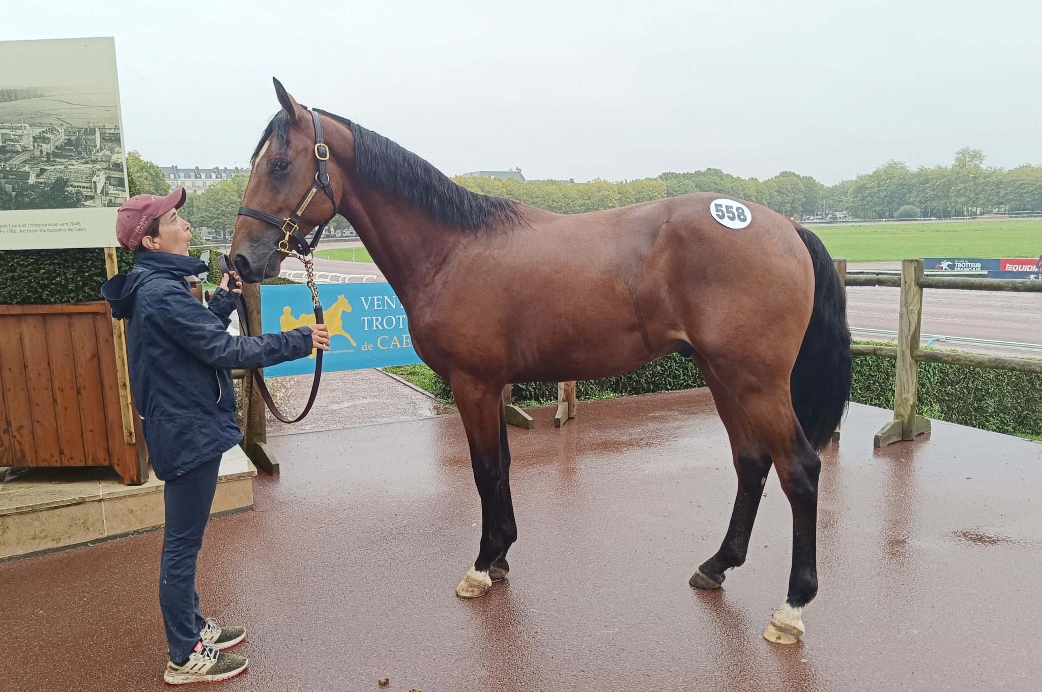 You are currently viewing Nobel de Nganda top price à 90 000 € d&rsquo;une journée record