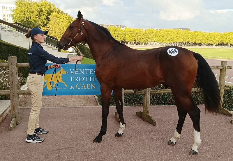 You are currently viewing Open Face, plus belle enchère à 85 000 € d&rsquo;un marché très actif