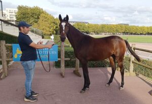 Lire la suite à propos de l’article Ozo Madrik, top price à 46 000 € d&rsquo;une journée record