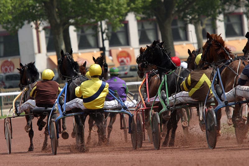 You are currently viewing Double réussite Premium à Feurs