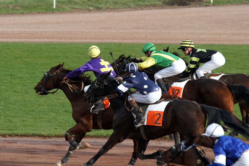 You are currently viewing Une deuxième victoire parisienne pour Miratissime