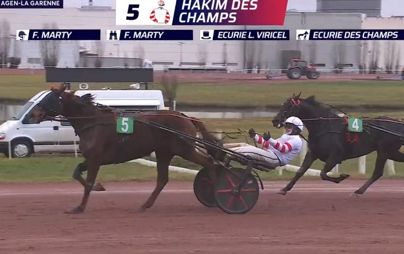 You are currently viewing Hakim des Champs, Lou Gehrig, Neuvilloise : 3 nouvelles réussites au compteur